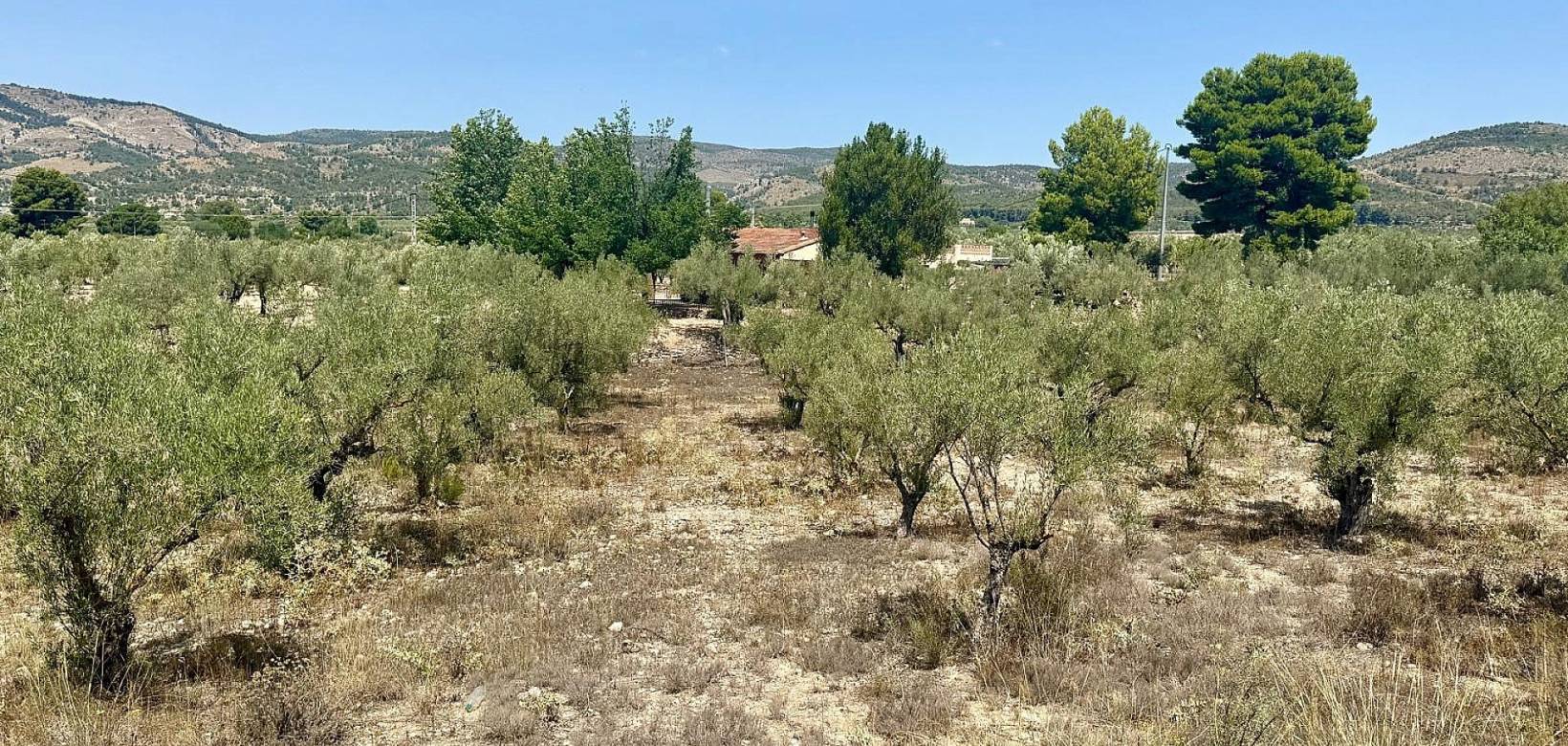 Venta - Chalet - Onil