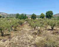 Venta - Chalet - Onil