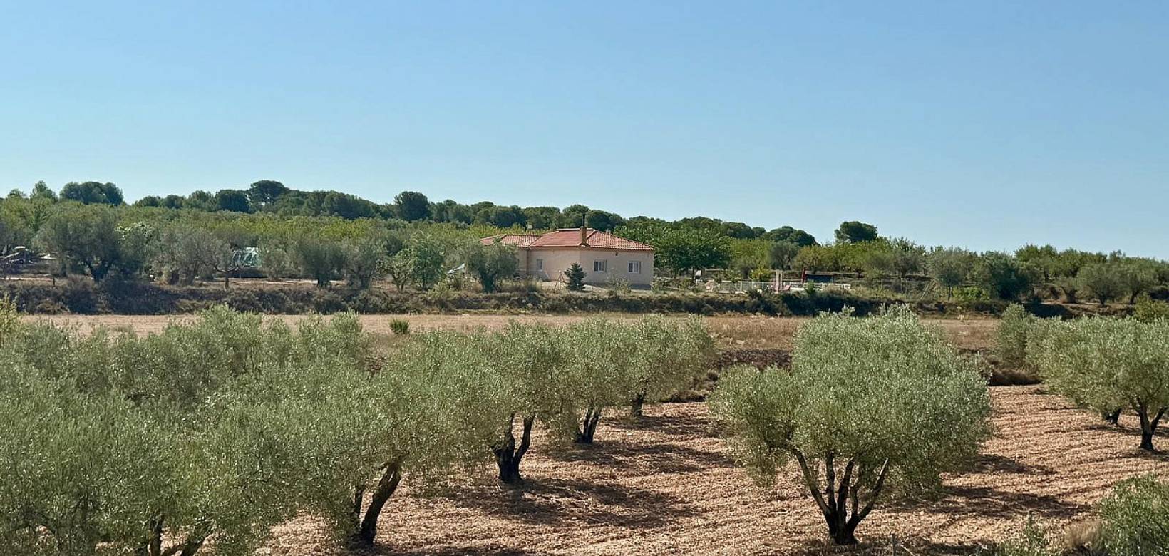 Venta - Chalet - Onil