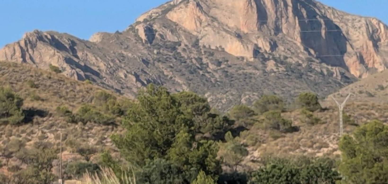 Venta - Chalet - Petrer