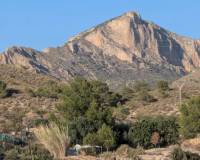 Venta - Chalet - Petrer