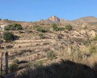 Venta - Chalet - Petrer