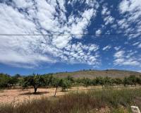 Venta - Chalet - Petrer