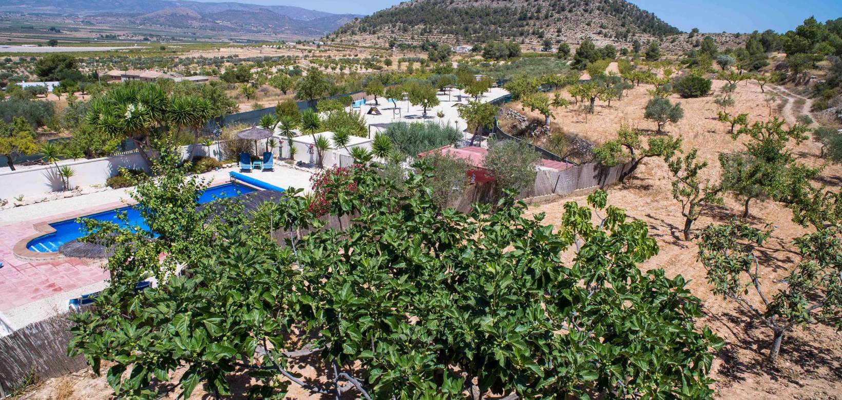 Venta - Chalet - Pinoso - Partida Collao Safra 2R