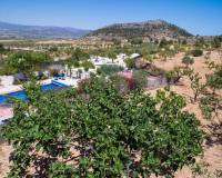 Venta - Chalet - Pinoso - Partida Collao Safra 2R