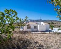 Venta - Chalet - Pinoso