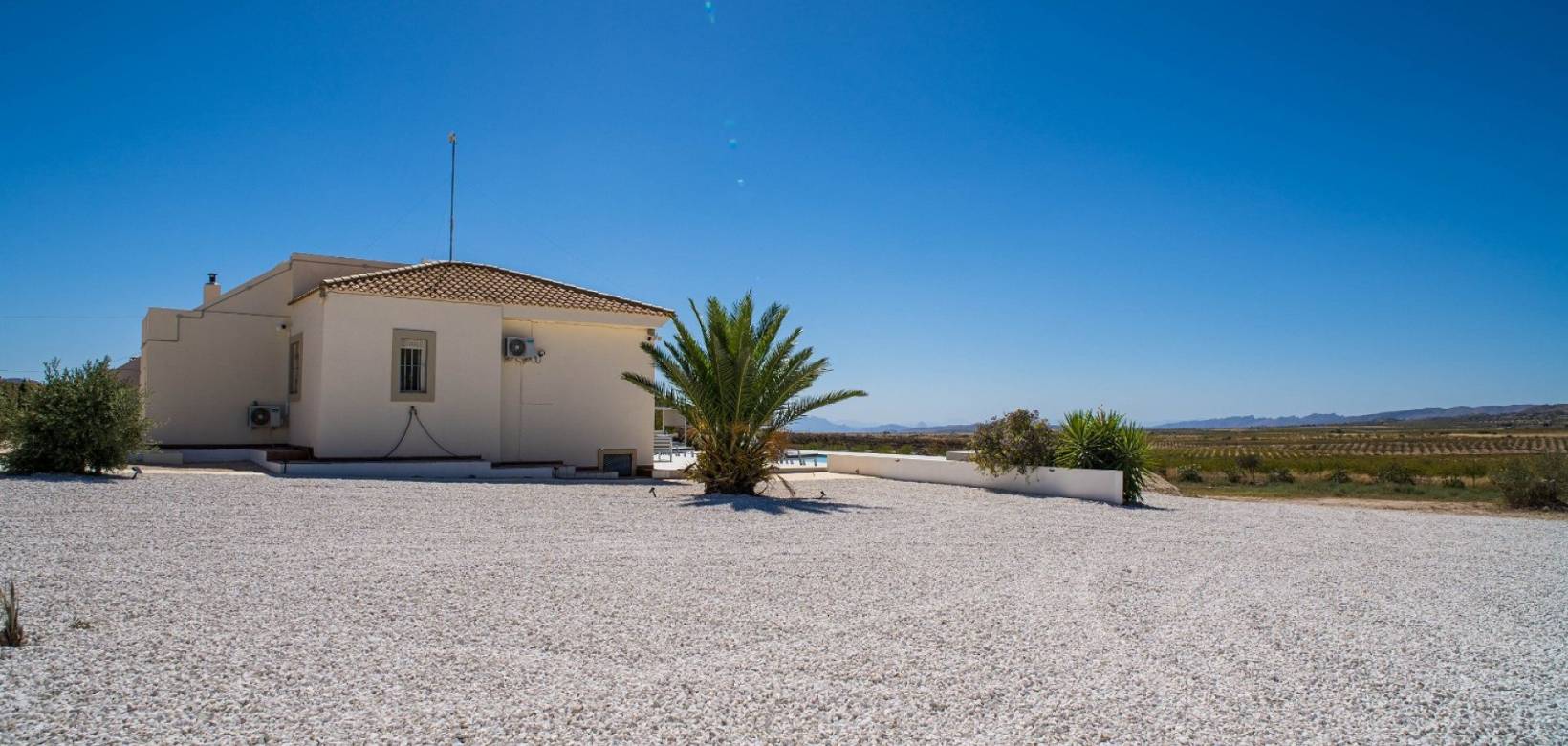 Venta - Chalet - Pinoso