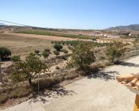 Venta - Chalet - Pinoso