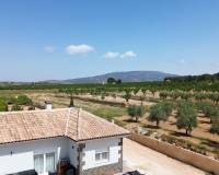 Venta - Chalet - Pinoso