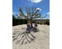 Venta - Chalet - Pinoso