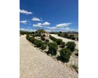 Venta - Chalet - Pinoso