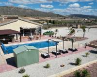 Venta - Chalet - Pinoso