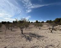 Venta - Chalet - Sax