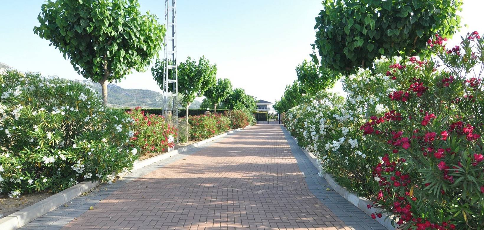 Venta - Chalet - Villena