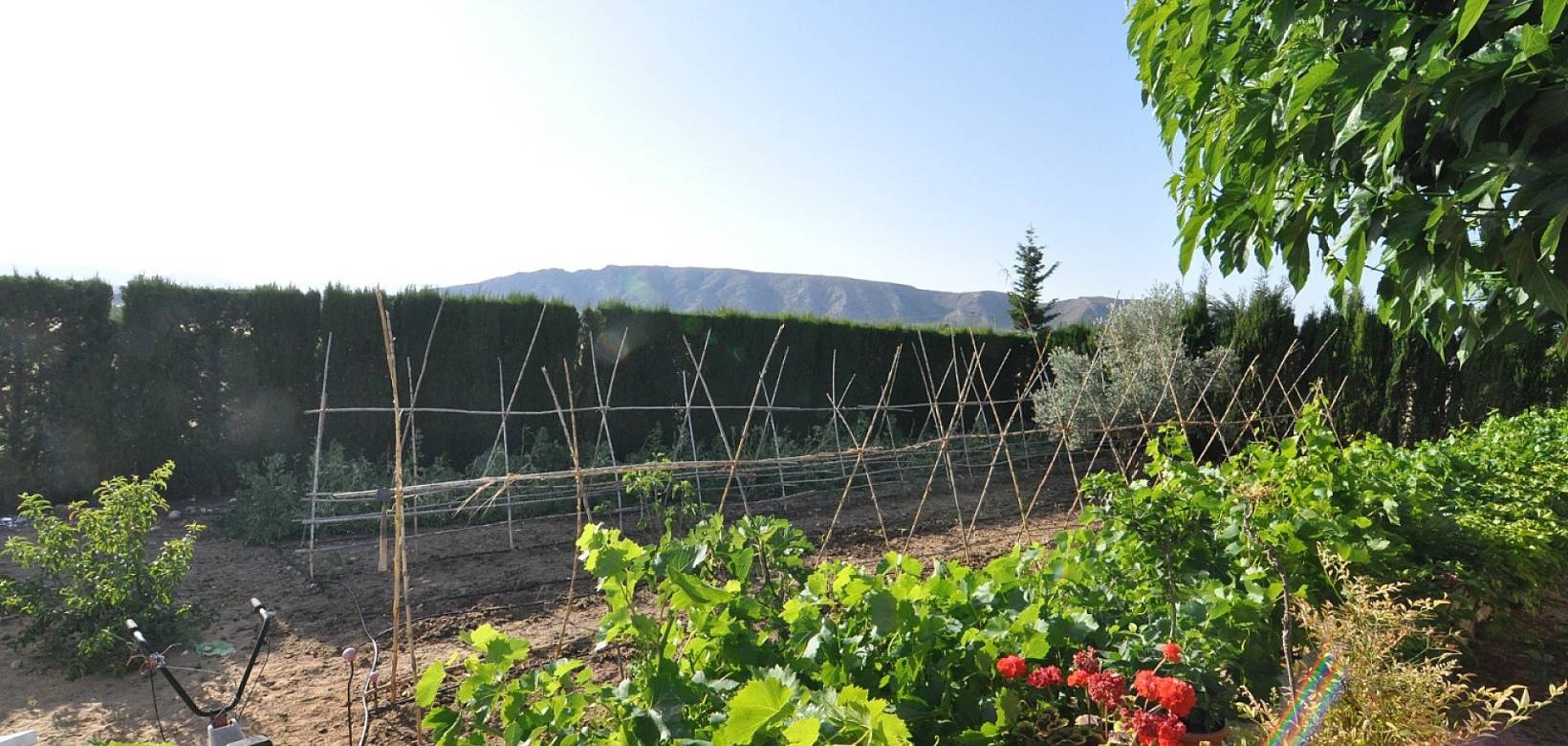 Venta - Chalet - Villena