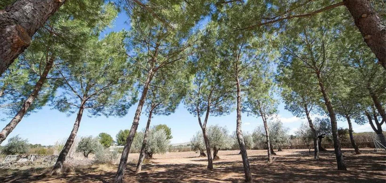 Venta - Chalet - Yecla