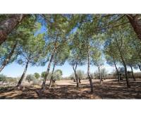 Venta - Chalet - Yecla