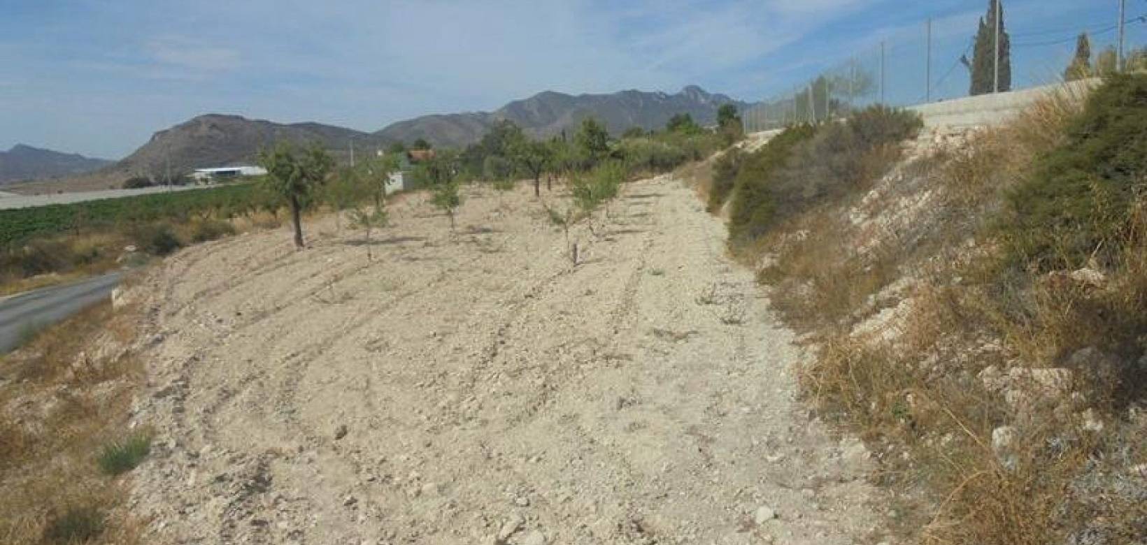 Venta - Country house - La Romana