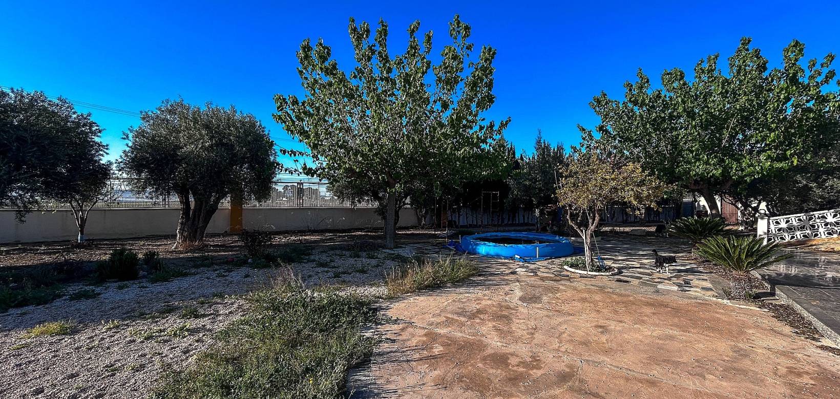 Venta - Country house - Monforte del Cid