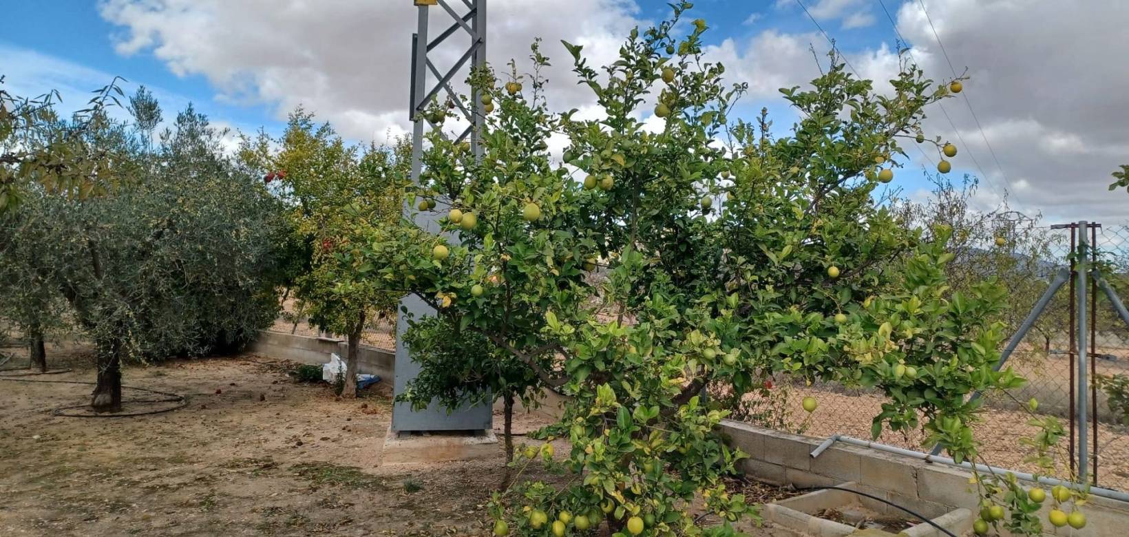 Venta - Country house - Monovar