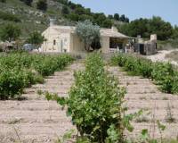 Venta - Country house - Yecla