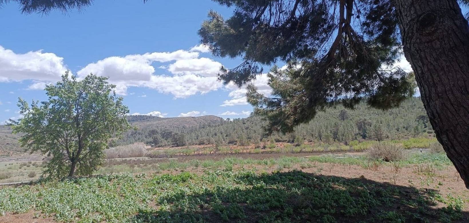 Venta - Country house - Yecla