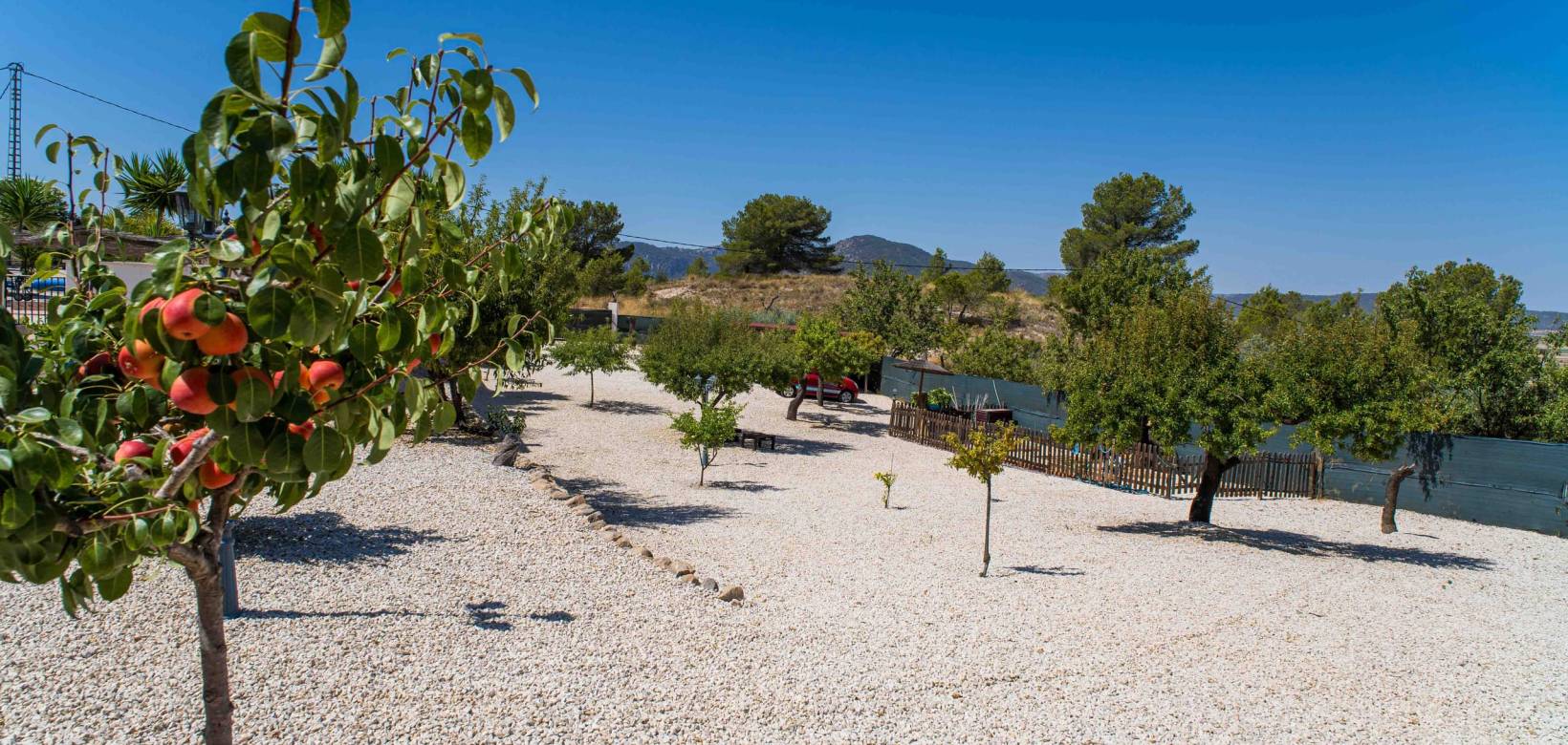 Venta - Detached villa - Pinoso - El Manyar