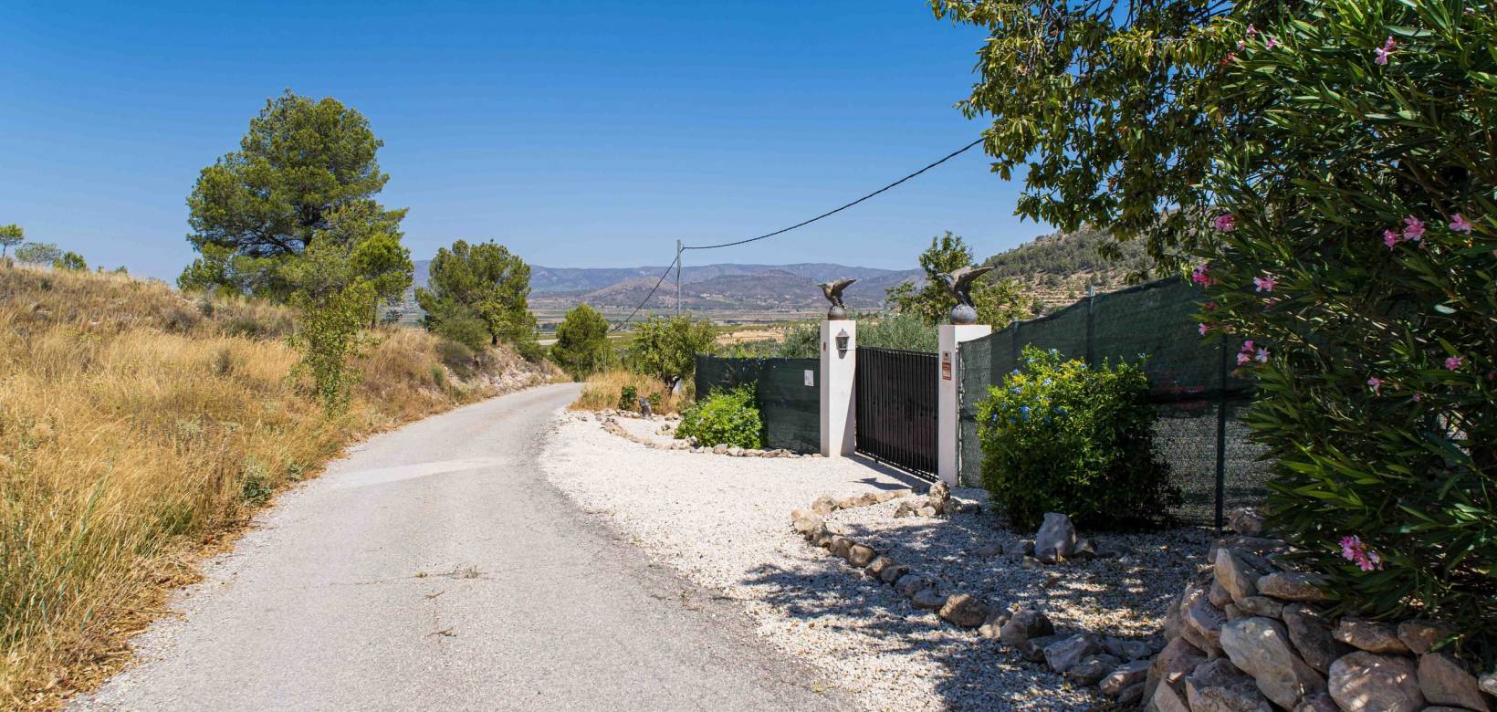Venta - Detached villa - Pinoso - El Manyar