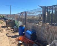 Venta - Detached villa - Salinas