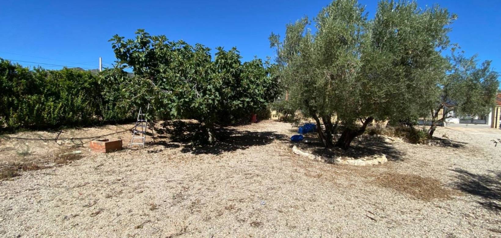 Venta - Detached villa - Salinas