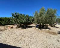 Venta - Detached villa - Salinas