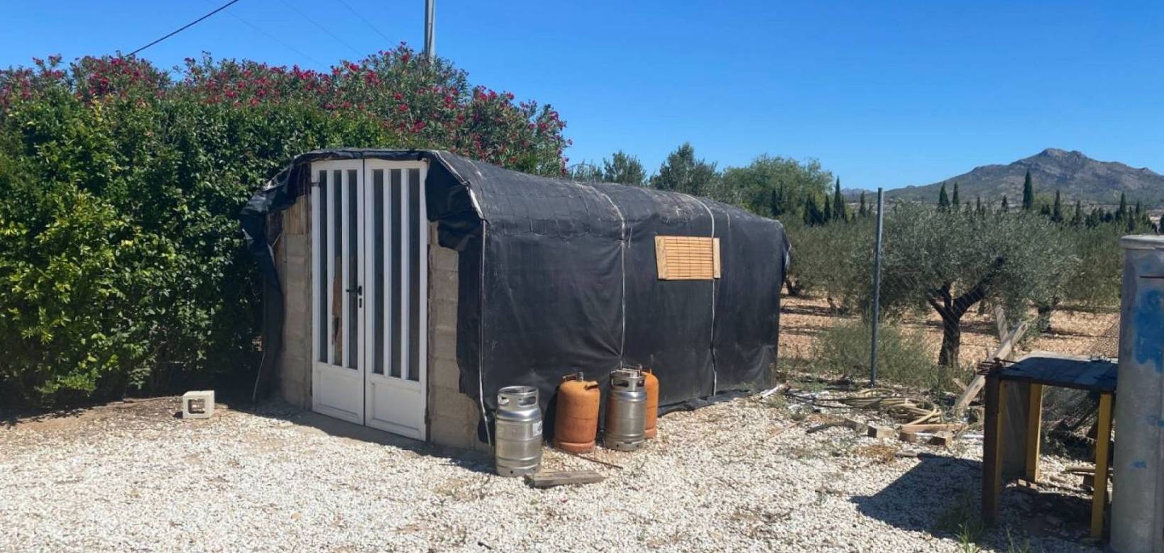 Venta - Detached villa - Salinas