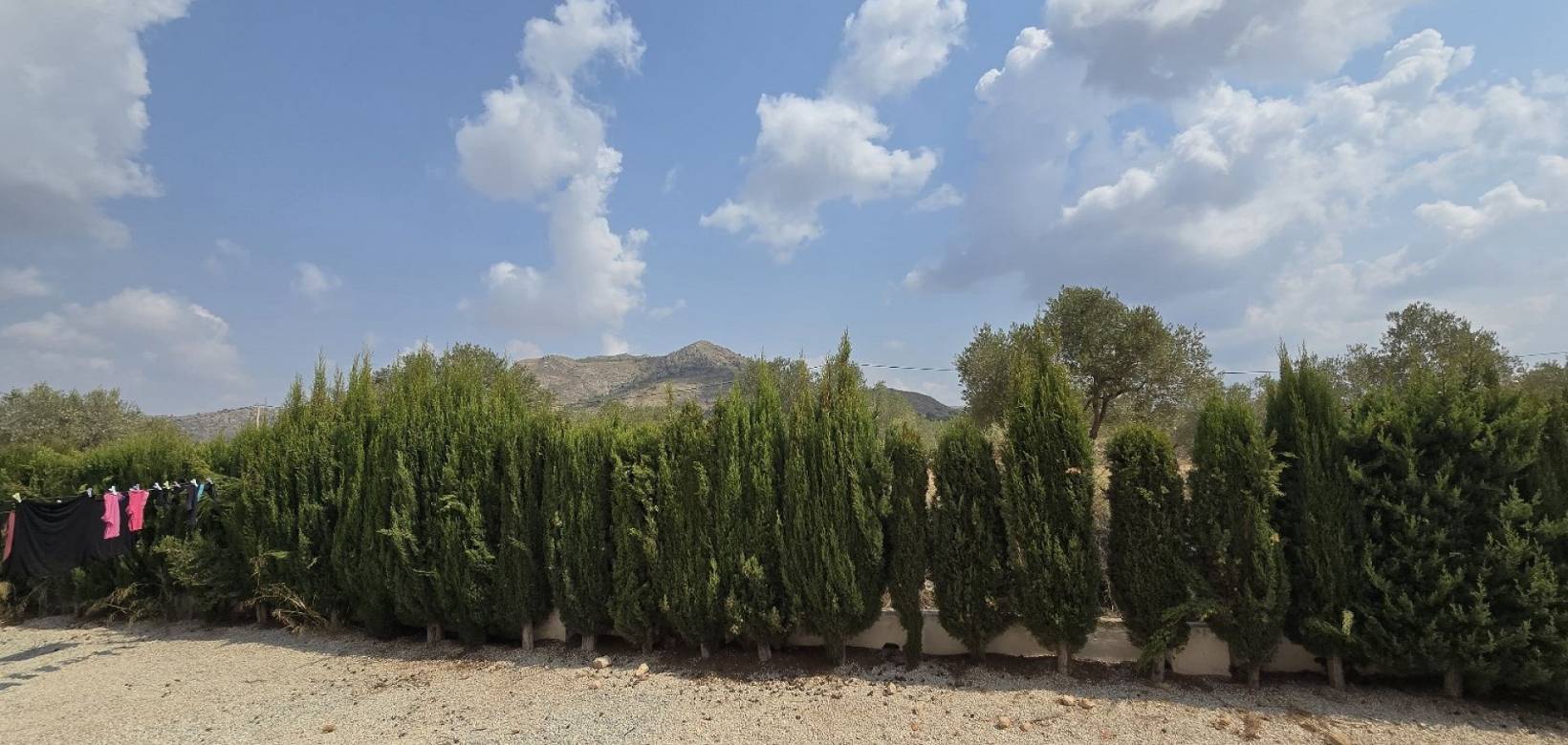 Venta - Detached villa - Sax