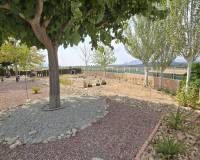 Venta - Detached villa - Sax