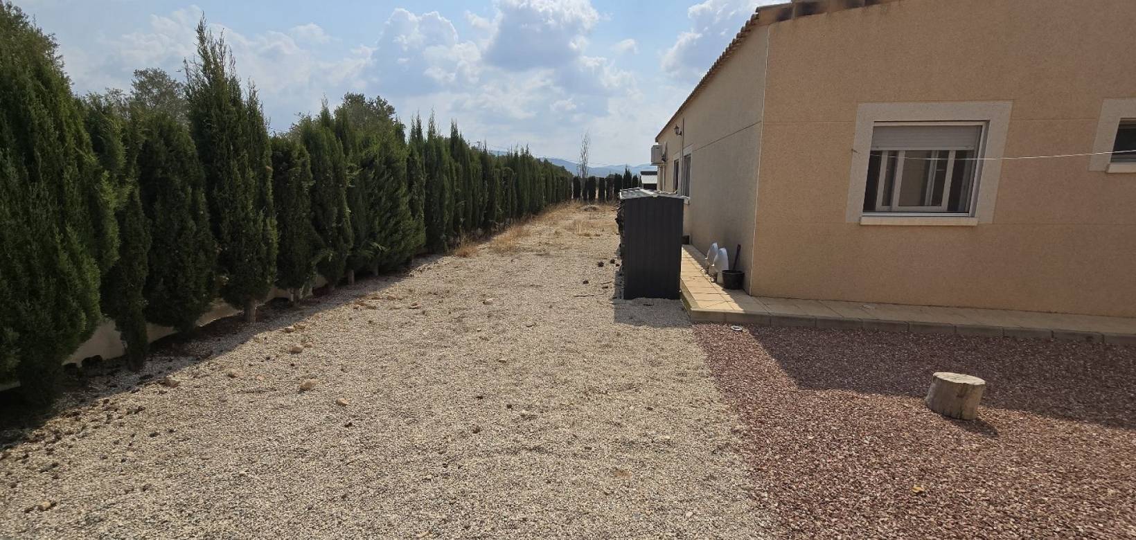 Venta - Detached villa - Sax