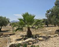 Venta - Detached villa - Sax