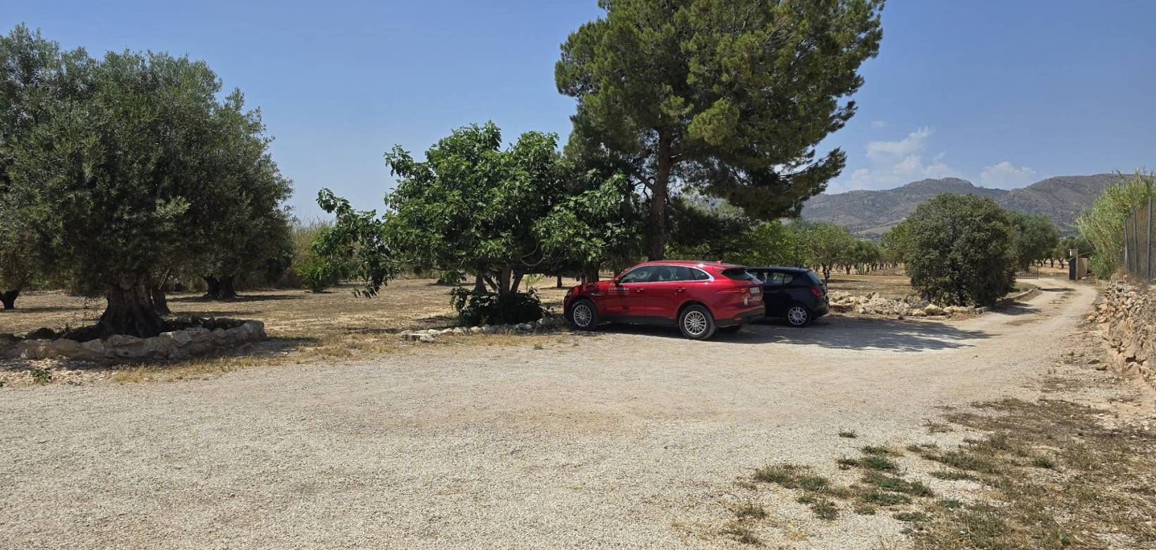 Venta - Detached villa - Sax