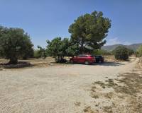 Venta - Detached villa - Sax