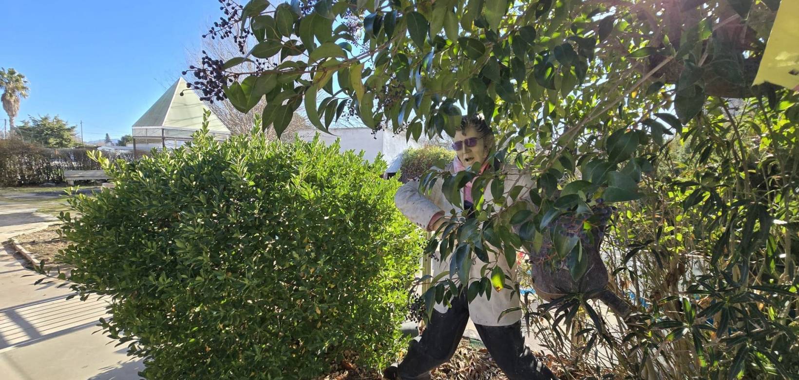 Venta - Detached villa - Villena