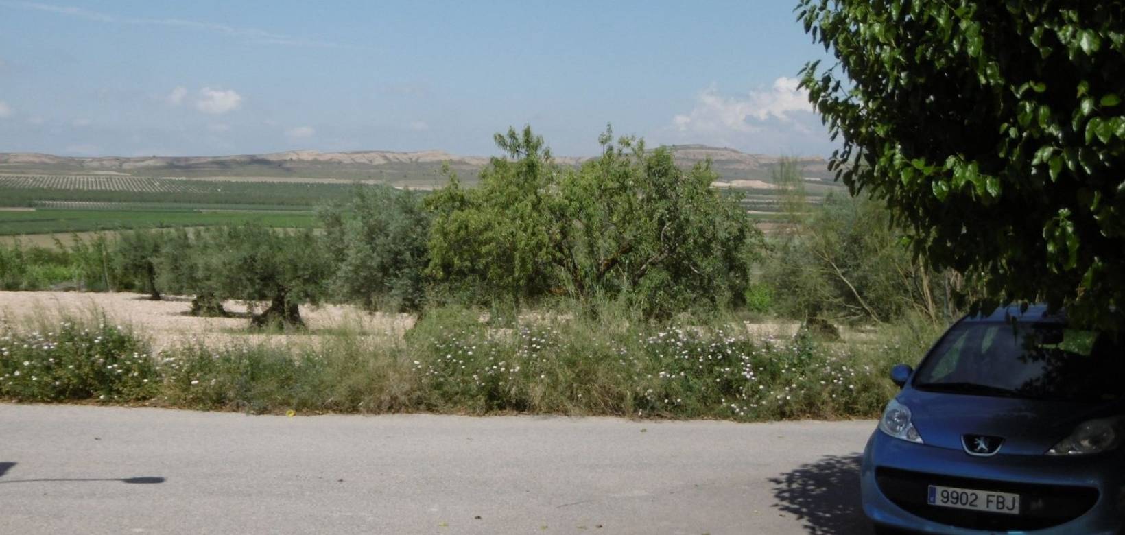 Venta - Detached villa - Yecla