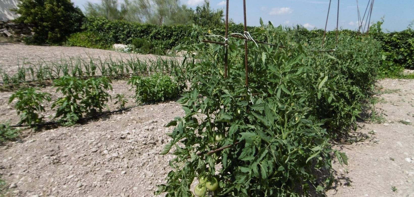 Venta - Detached villa - Yecla