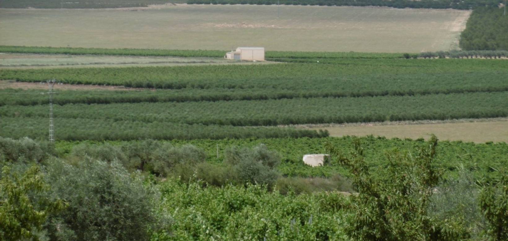 Venta - Detached villa - Yecla