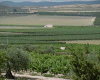 Venta - Detached villa - Yecla