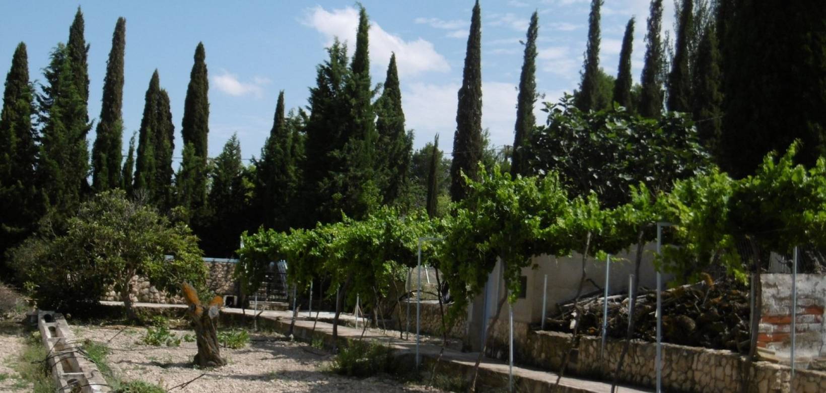 Venta - Detached villa - Yecla