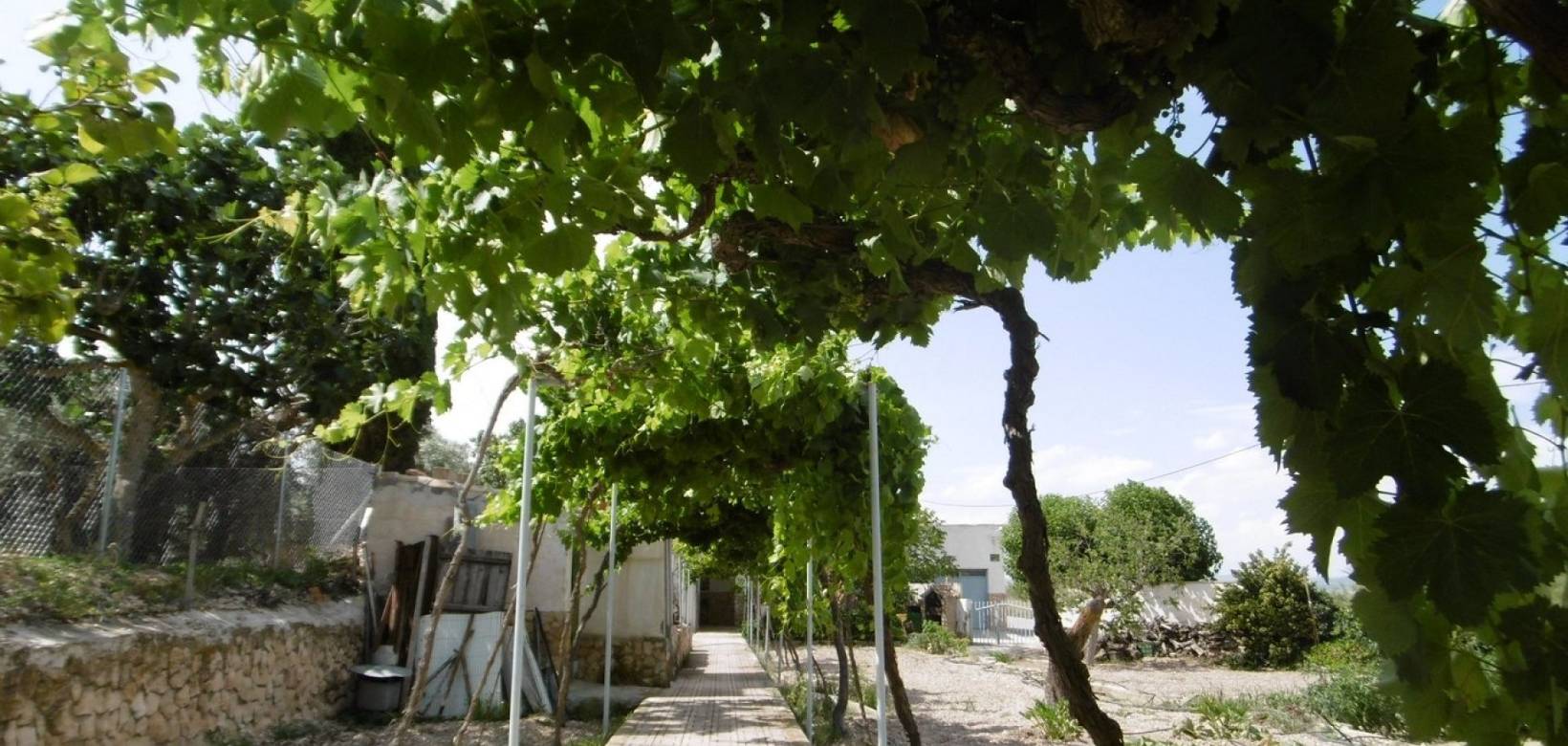 Venta - Detached villa - Yecla