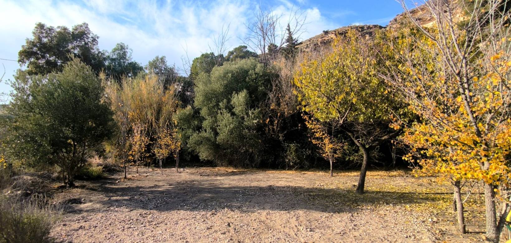Venta - Finca - Country Property - Fortuna
