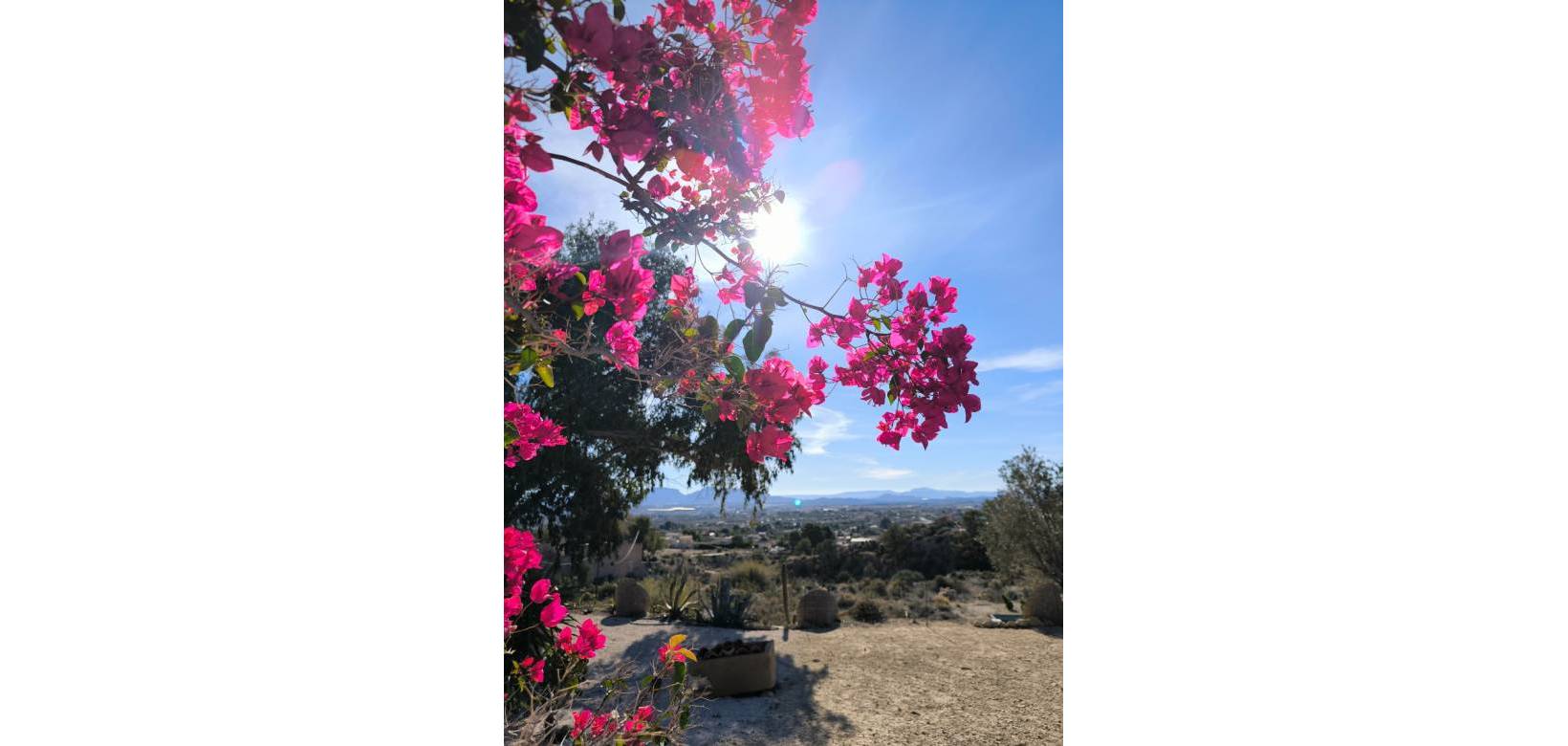 Venta - Finca - Country Property - Fortuna