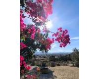 Venta - Finca - Country Property - Fortuna