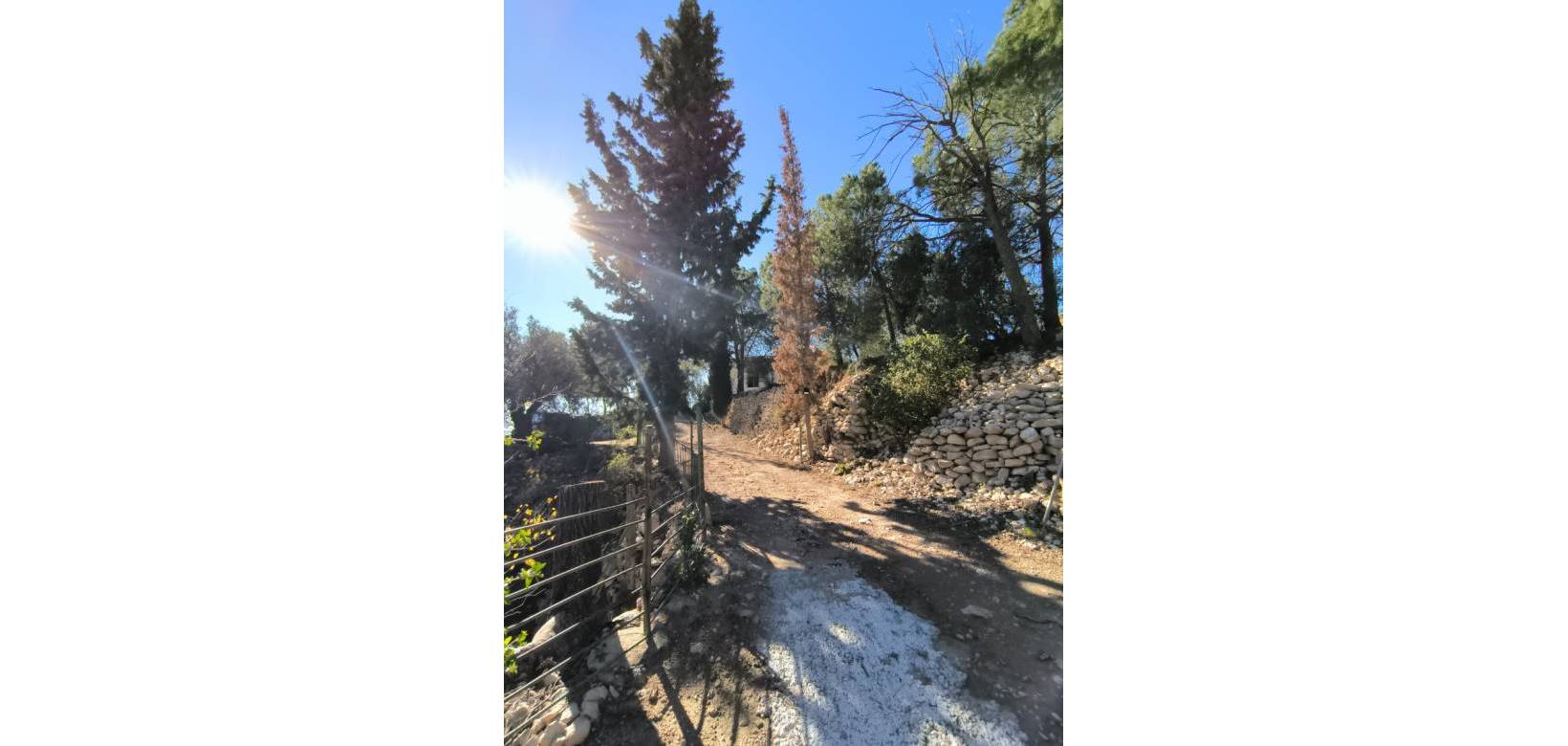 Venta - Finca - Country Property - Fortuna