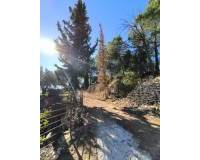 Venta - Finca - Country Property - Fortuna